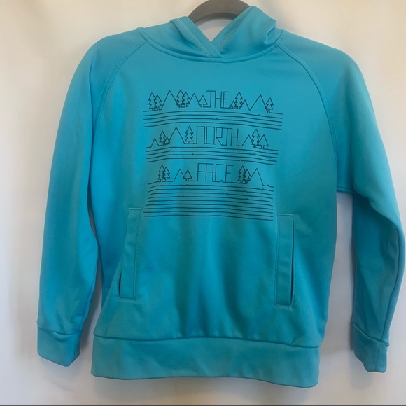 The North Face Hoodie - Picture 1 of 3